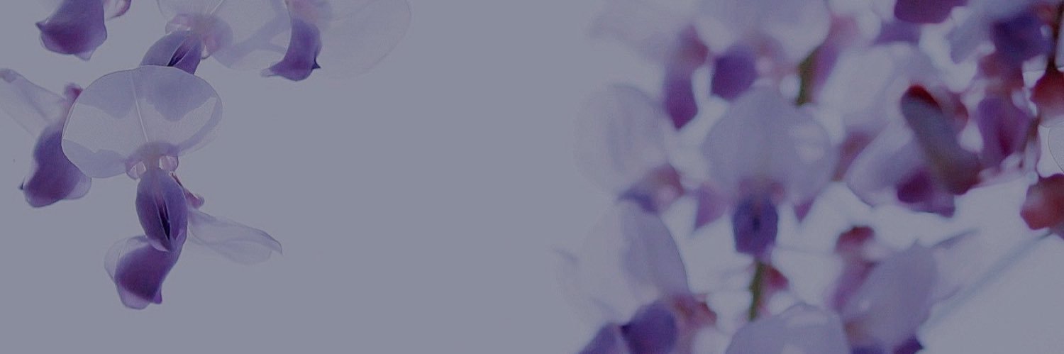 WitchVilya's profile banner image