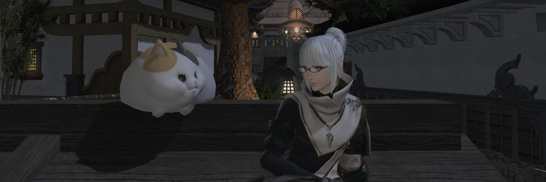 aconit_fleur's profile banner image