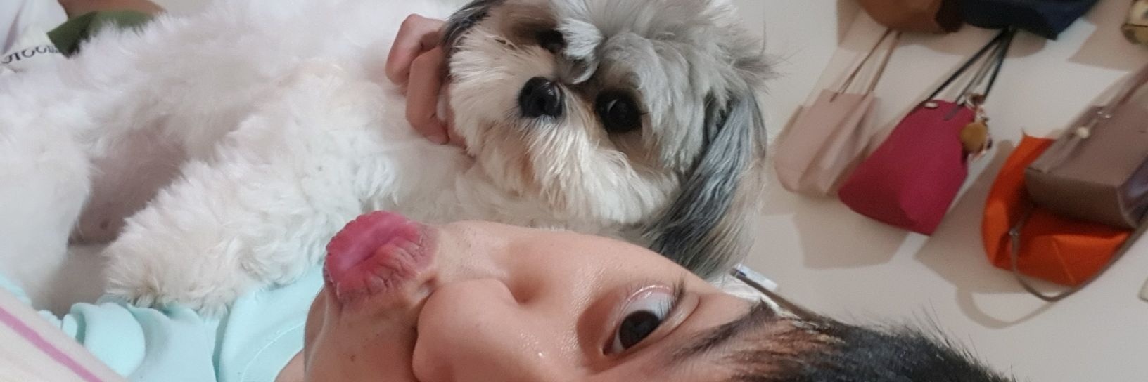 palmitospeter's profile banner image