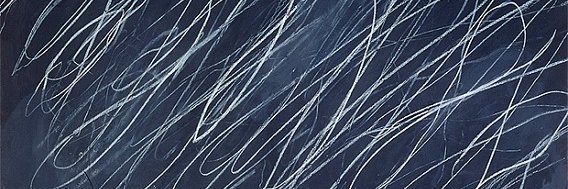 Stephanie Danler banner