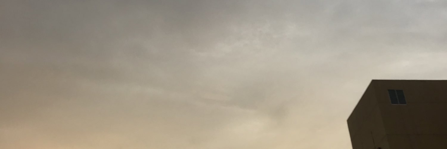 ulfagianis's profile banner image