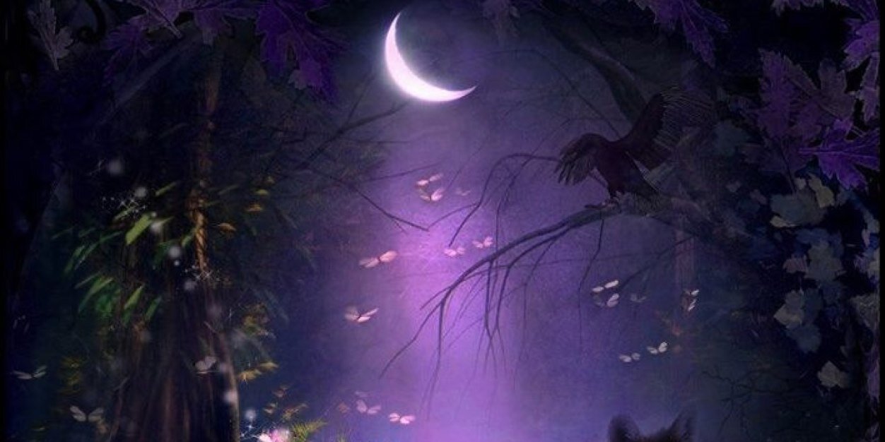 DFCOBHC21's profile banner image