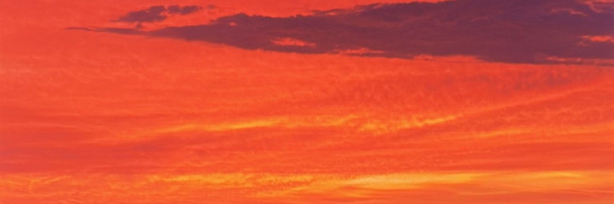 cgomez80t's profile banner image
