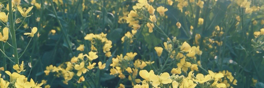 __hhhesf's profile banner image
