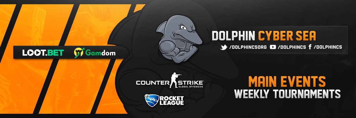 DolphinCS banner