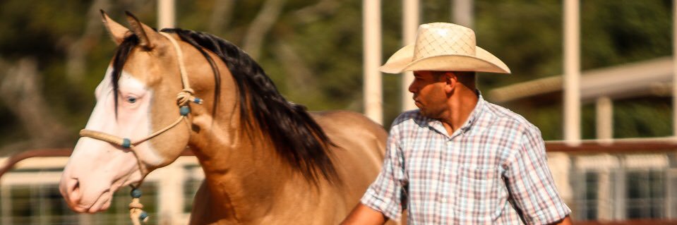 nilsonreining's profile banner image