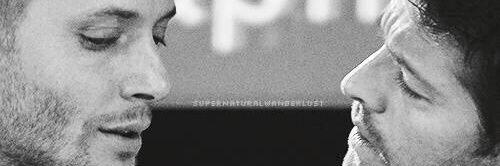 reallydeary's profile banner image