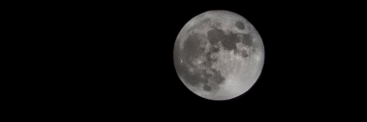 wendicorbin's profile banner image