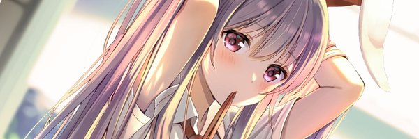 korokoroudon Profile Banner