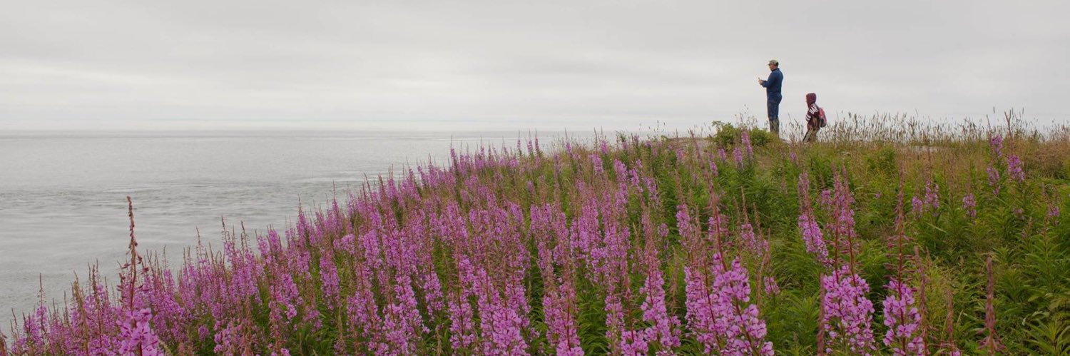 EskimoLilD's profile banner image
