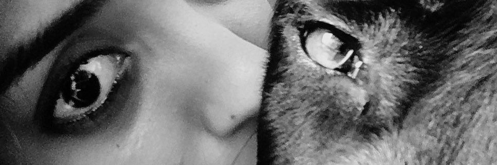AriCasther's profile banner image