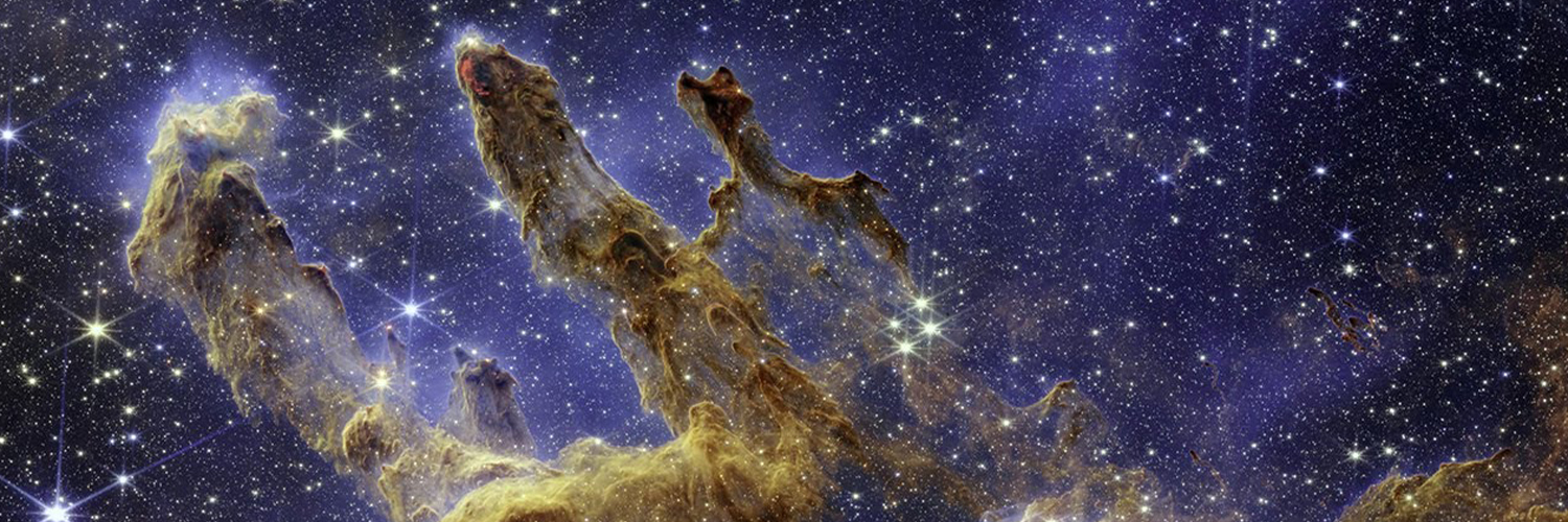 Priyadarshi Nanu Pany banner