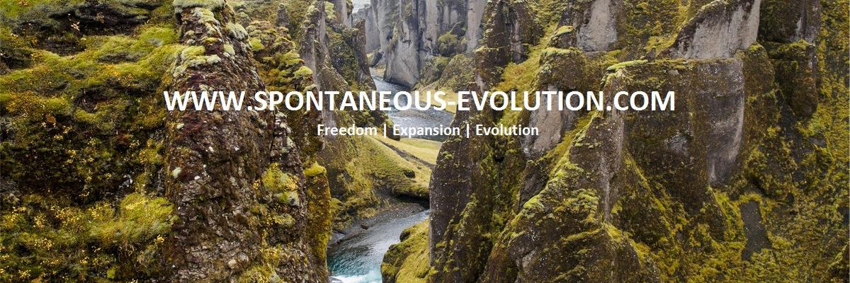 sponevolution's profile banner image