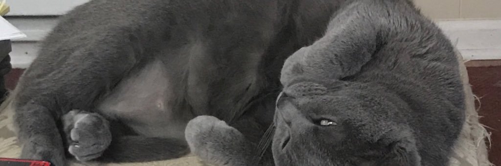 Kkrusty's profile banner image