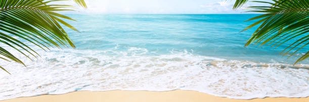 MrsDBeach's profile banner image