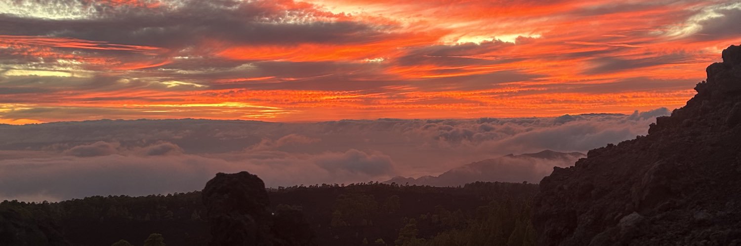 dvtfii's profile banner image