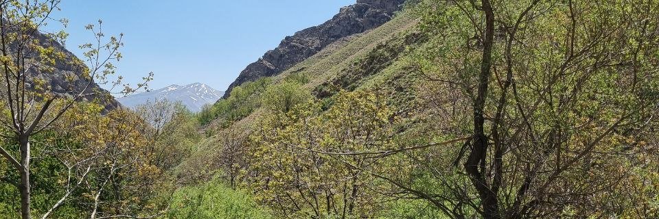 ca485e159eb8497's profile banner image