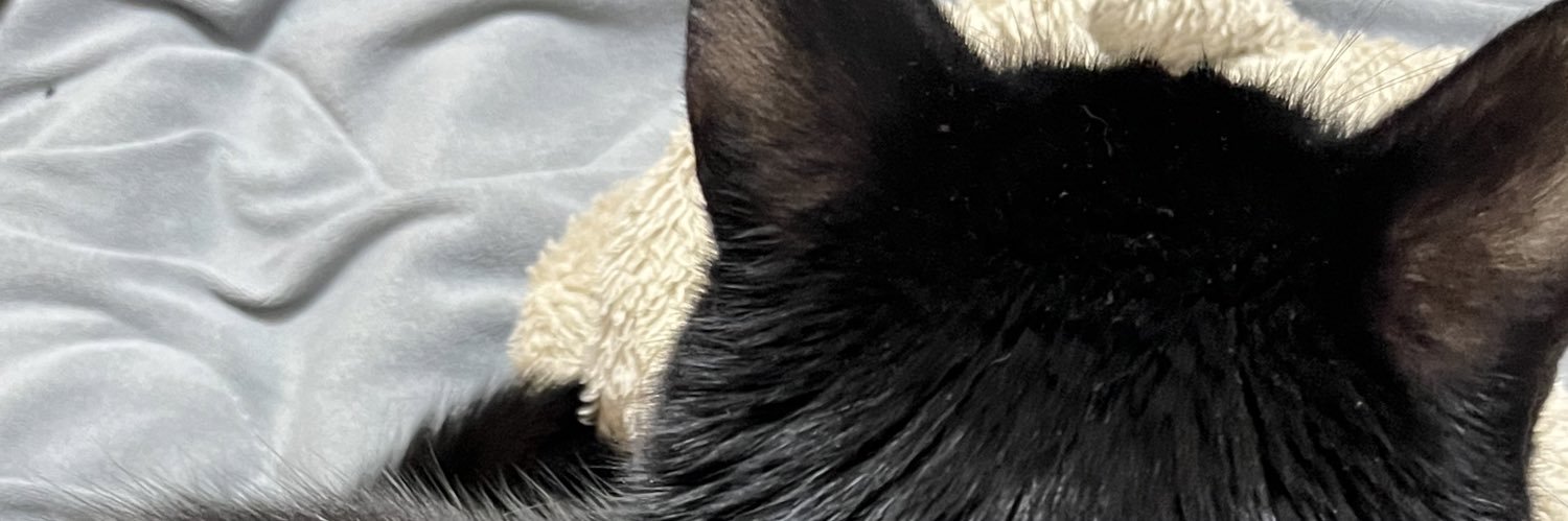 chatnoir1106's profile banner image