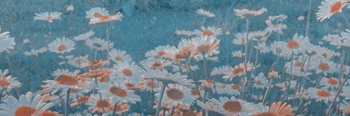 karilynnporter's profile banner image