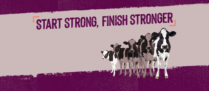 FeedForGrowth banner