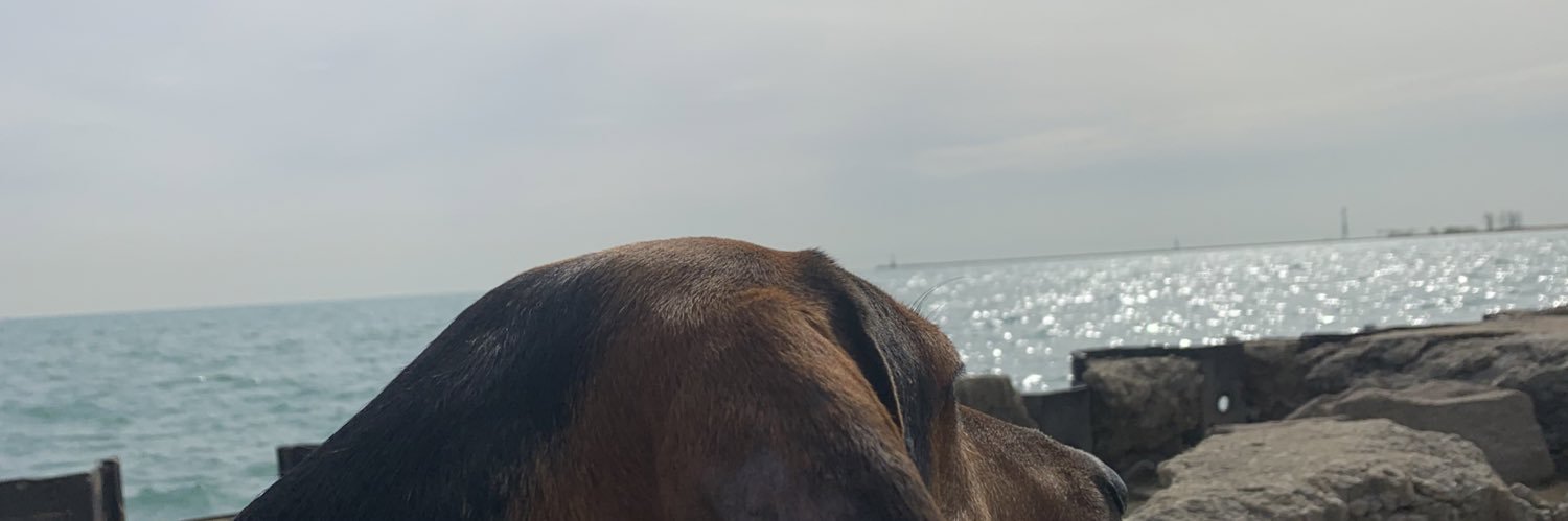 jconnor1's profile banner image