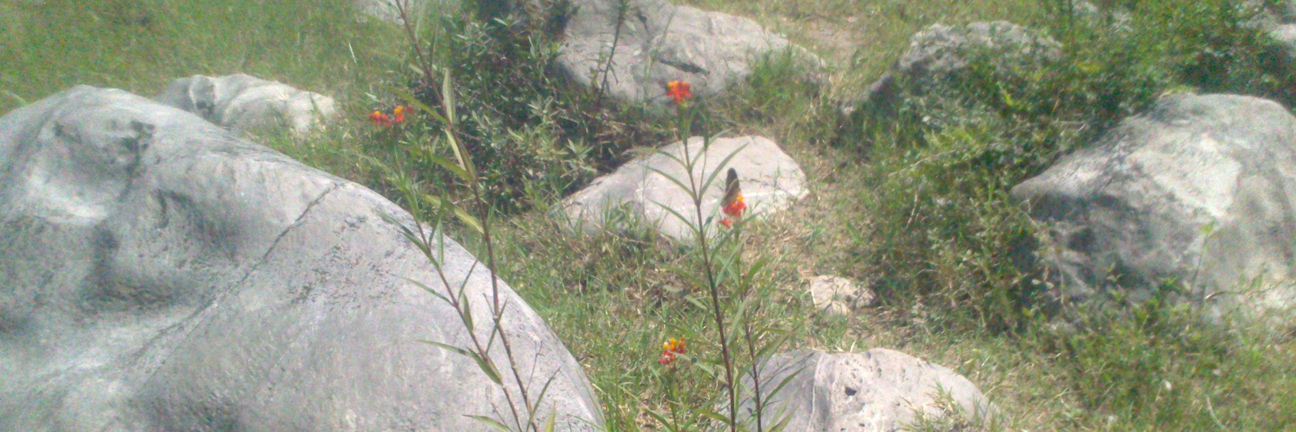 mayela_r's profile banner image