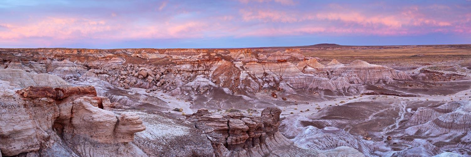PetrifiedForestAssn banner