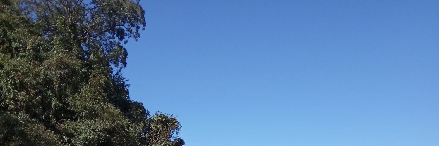 Pranav singh banner