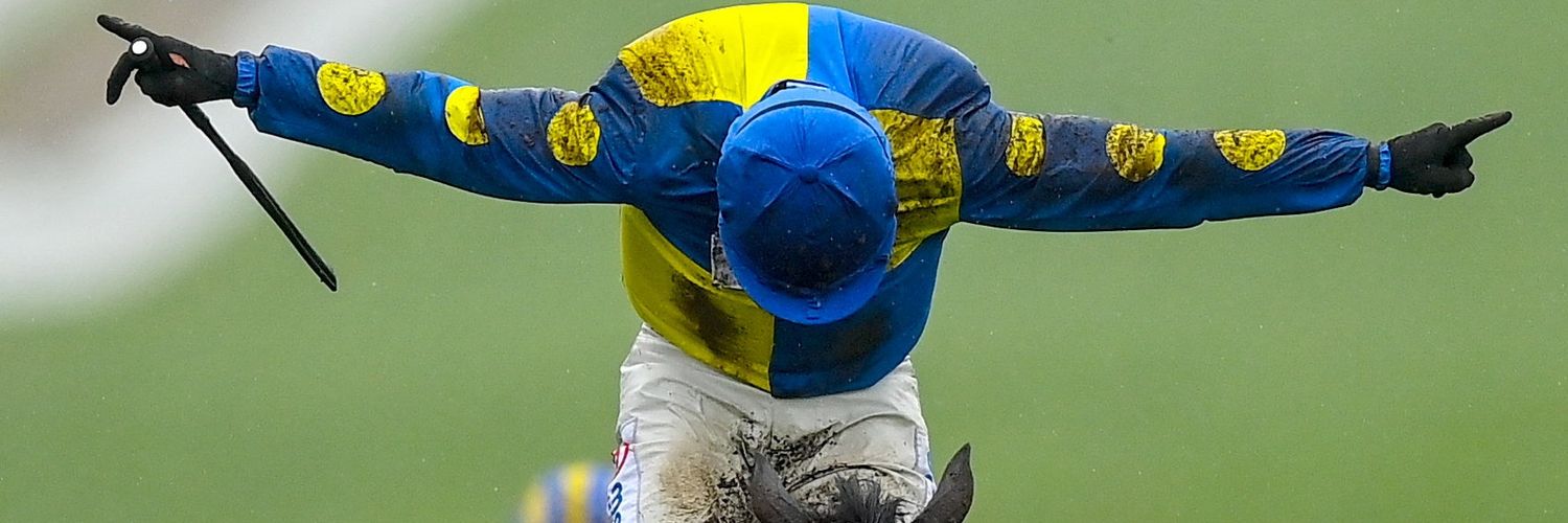 Serdal Pekbey banner