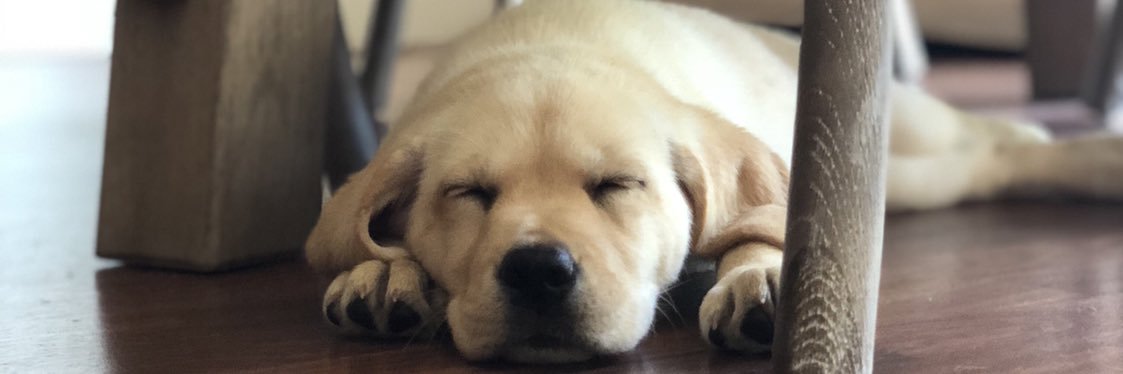 catherineivess's profile banner image