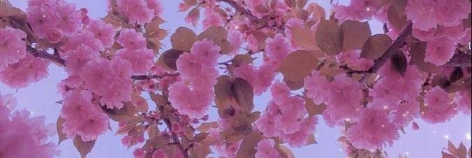 Awdia333's profile banner image