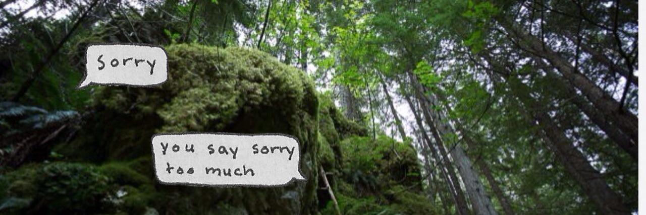 reedorgdr's profile banner image