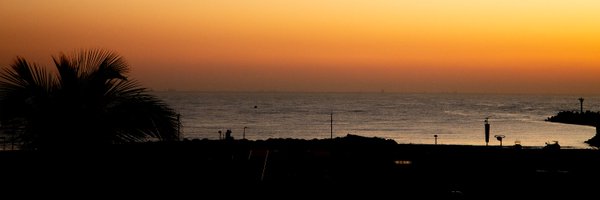 NathiCroco Profile Banner