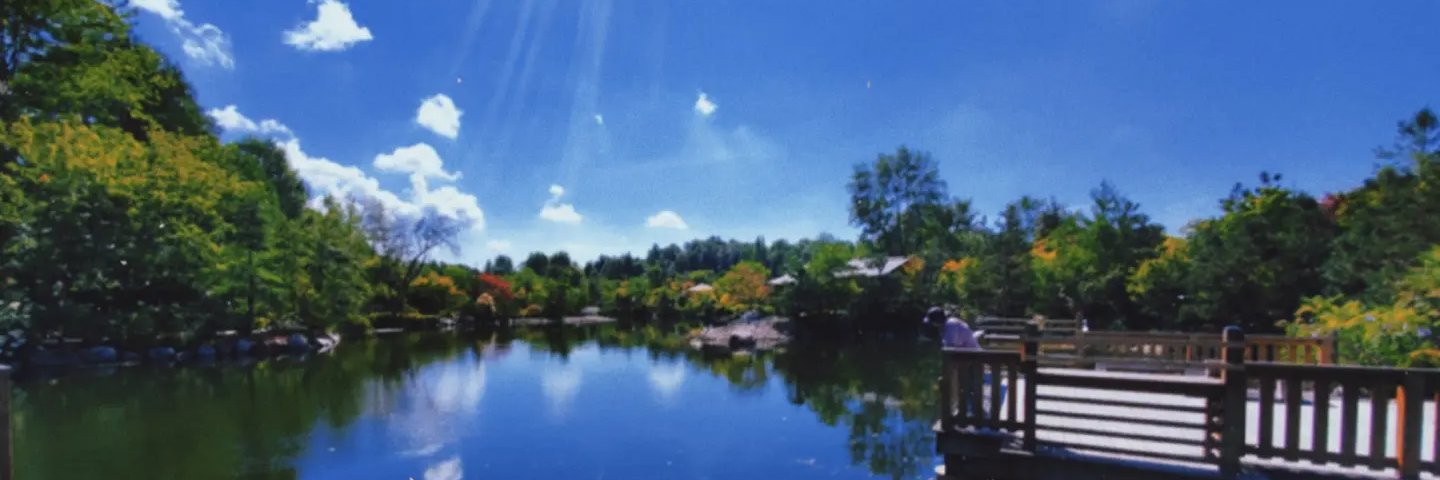 imshortandrad's profile banner image
