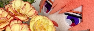 dpsp988's profile banner image