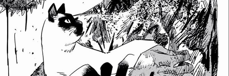 ElDattebayos's profile banner image