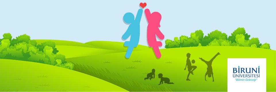 birunicgk's profile banner image