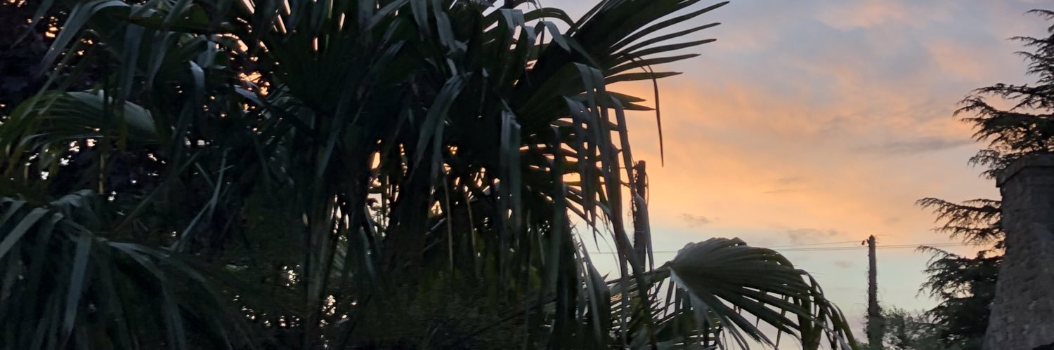 romainlpp's profile banner image