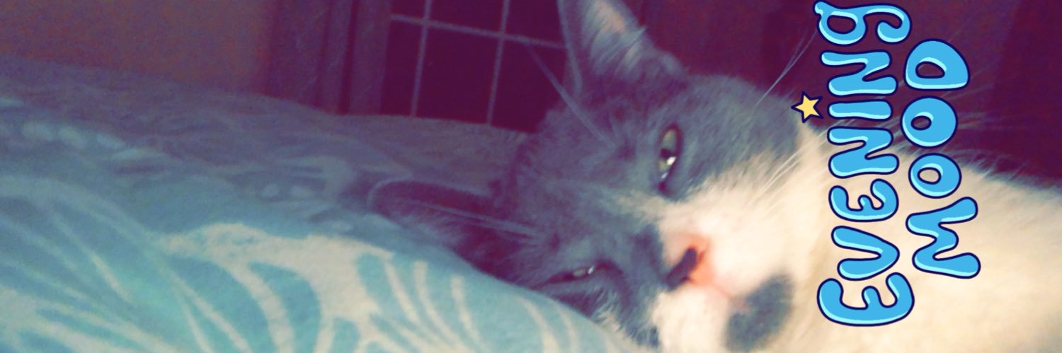_seam's profile banner image
