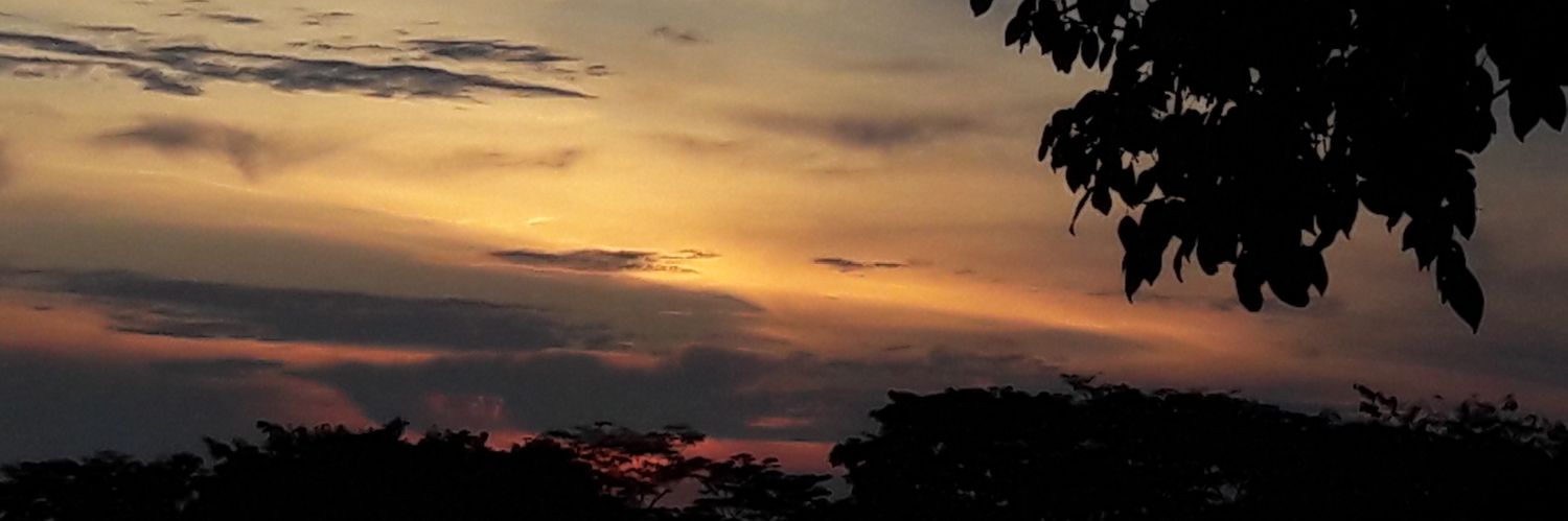 sandryramire's profile banner image