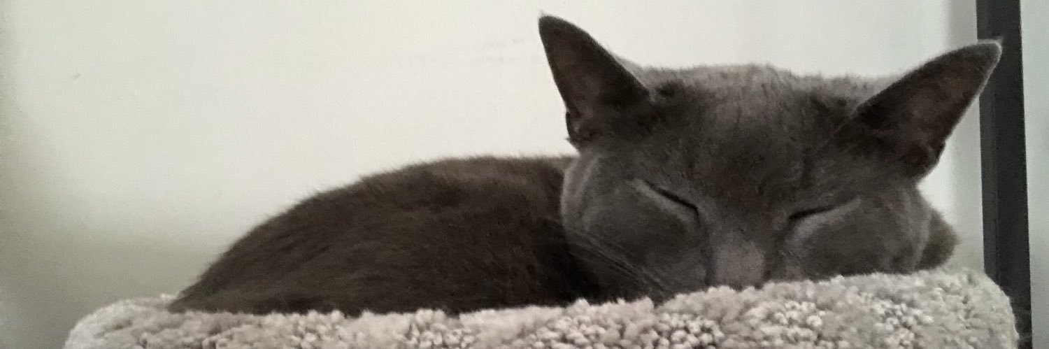 sinisterbog's profile banner image
