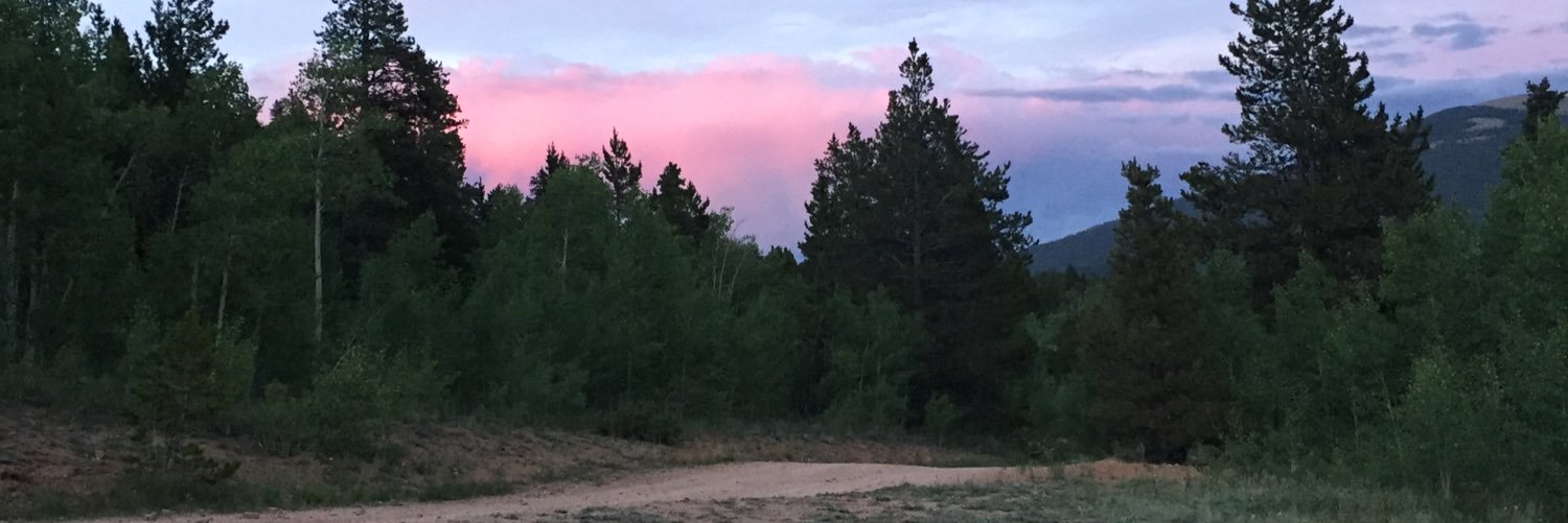 ChristinaRose15's profile banner image