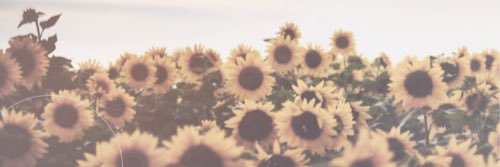 kizziormerod's profile banner image