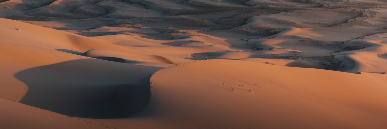 Ina 💎 Limited Edition banner