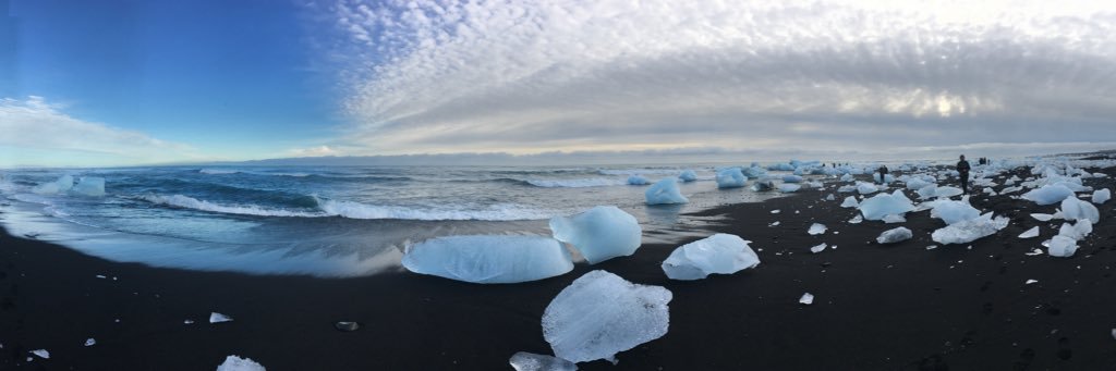 daniellehettphd's profile banner image
