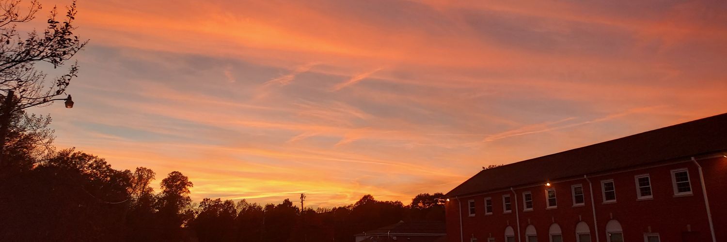 GreenDragonNinja banner