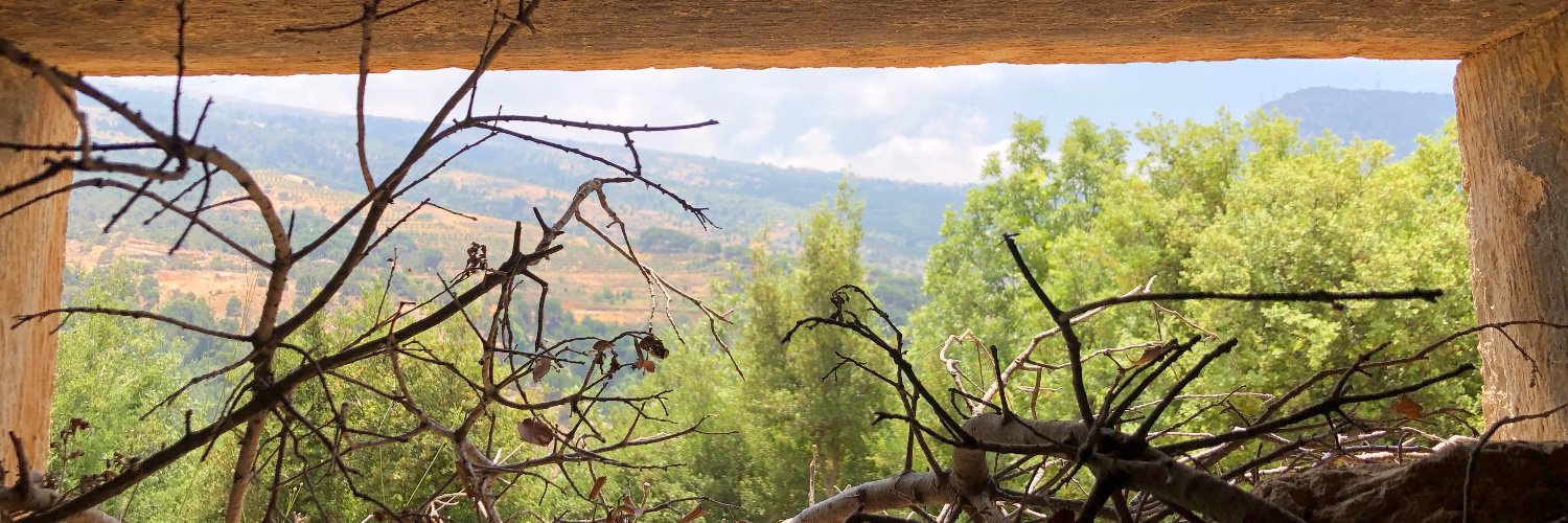 Carmen Sesin banner