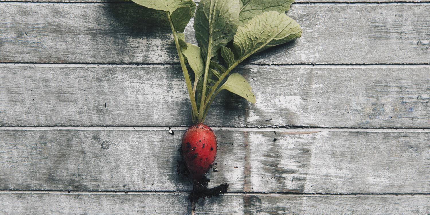 Chris Whonsetler banner