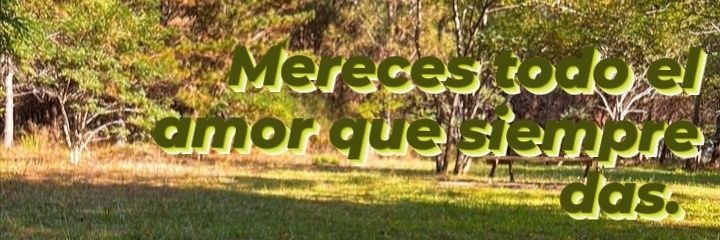 Carpesant's profile banner image