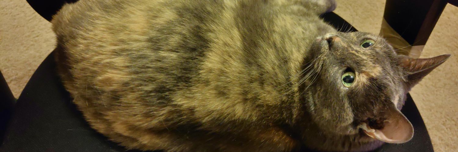 Amber, PharmD banner